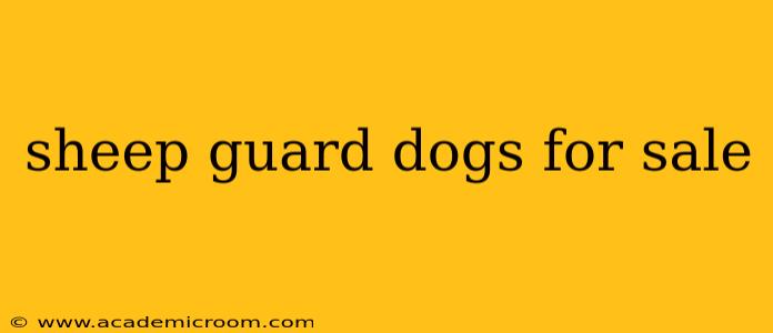 sheep guard dogs for sale