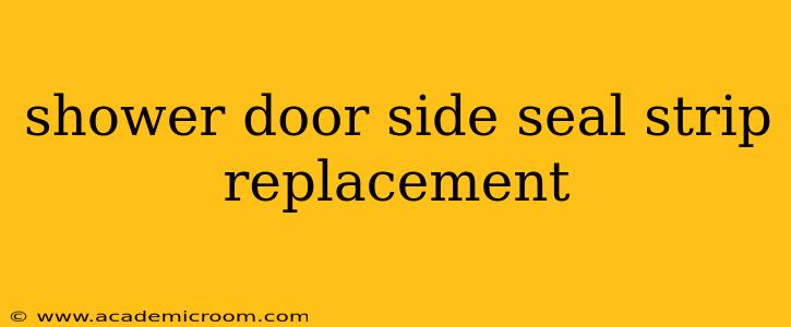 shower door side seal strip replacement