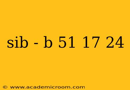 sib - b 51 17 24