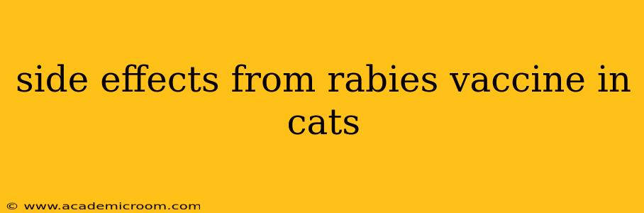 side effects from rabies vaccine in cats