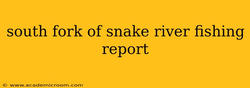 south fork of snake river fishing report