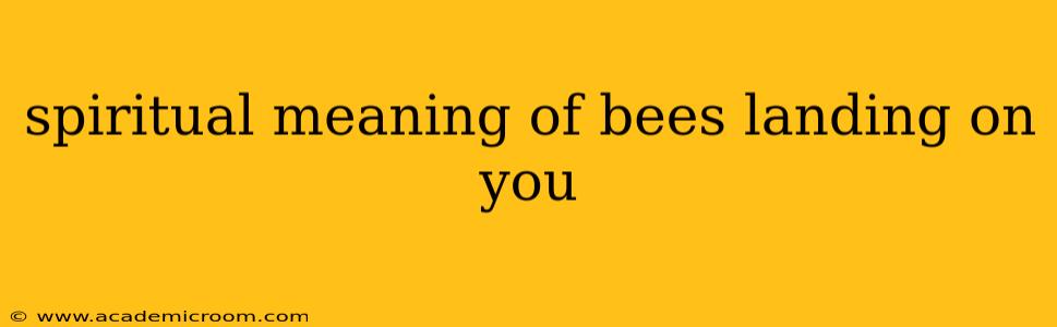 spiritual meaning of bees landing on you