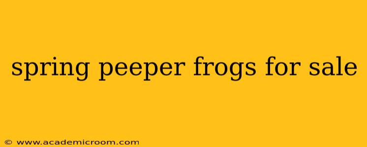 spring peeper frogs for sale