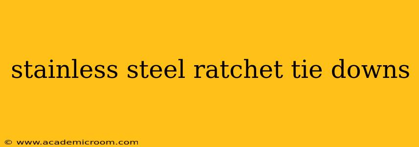 stainless steel ratchet tie downs