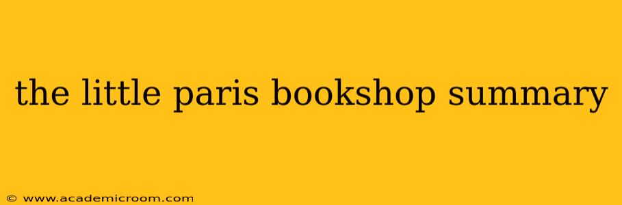 the little paris bookshop summary