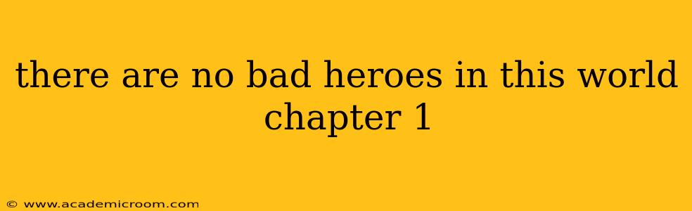 there are no bad heroes in this world chapter 1