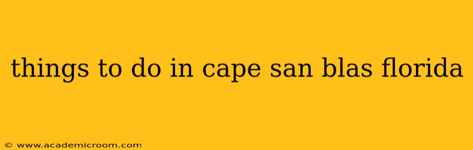 things to do in cape san blas florida