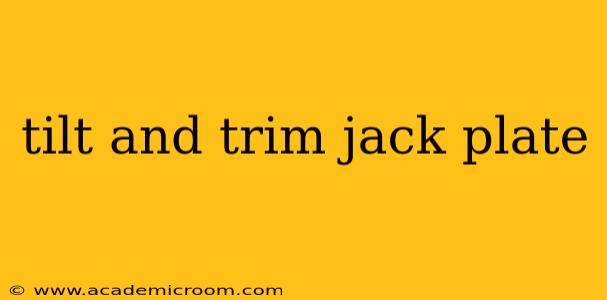 tilt and trim jack plate