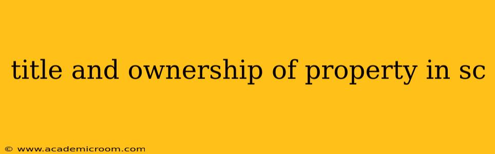 title and ownership of property in sc