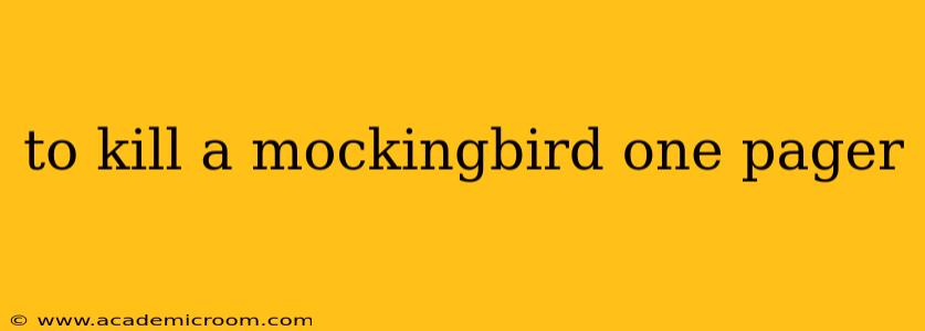 to kill a mockingbird one pager