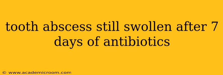 tooth abscess still swollen after 7 days of antibiotics