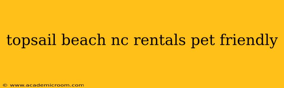 topsail beach nc rentals pet friendly