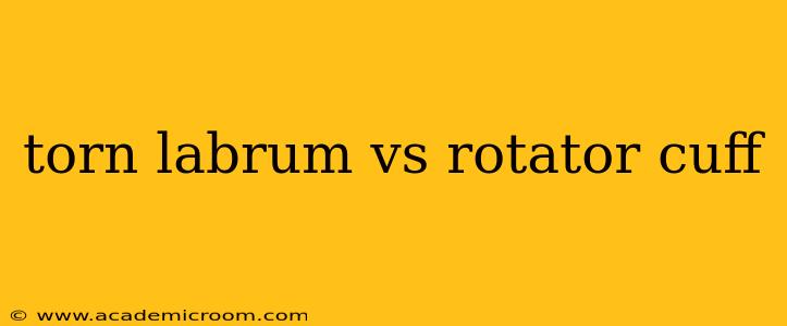 torn labrum vs rotator cuff