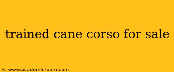 trained cane corso for sale