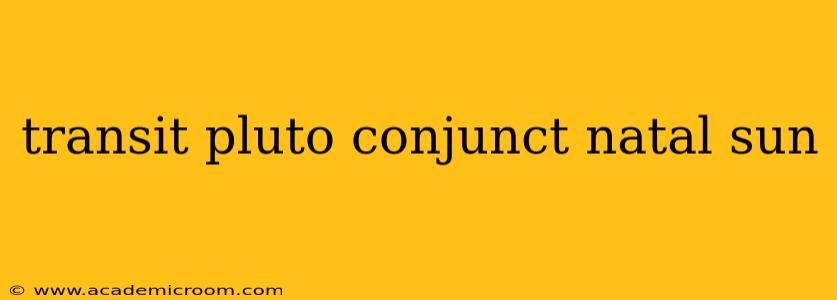 transit pluto conjunct natal sun