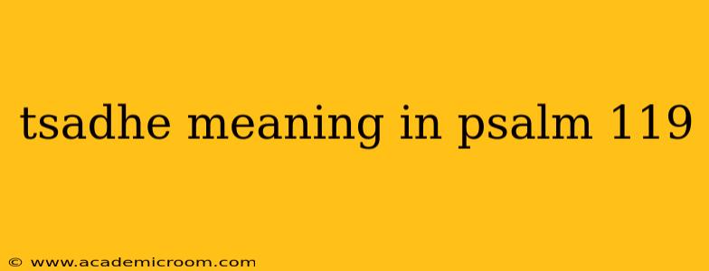 tsadhe meaning in psalm 119
