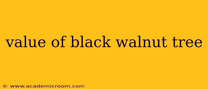 value of black walnut tree