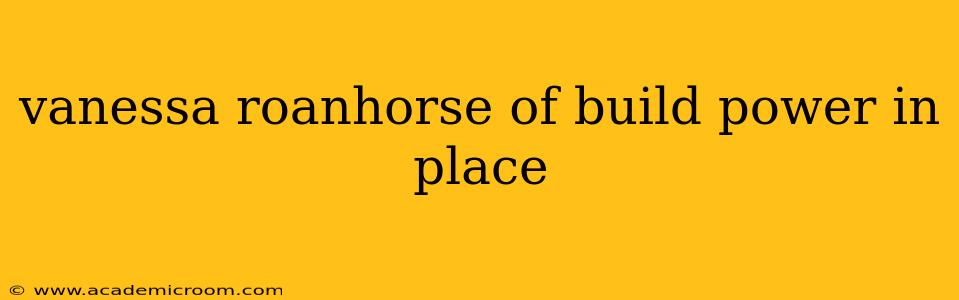 vanessa roanhorse of build power in place
