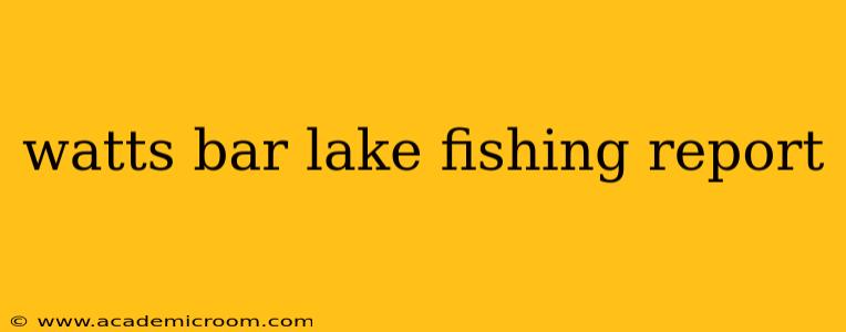 watts bar lake fishing report