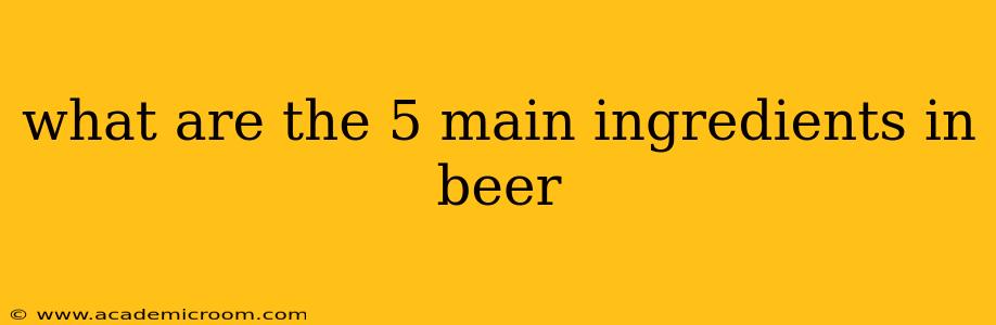 what are the 5 main ingredients in beer