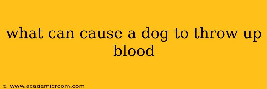 what can cause a dog to throw up blood