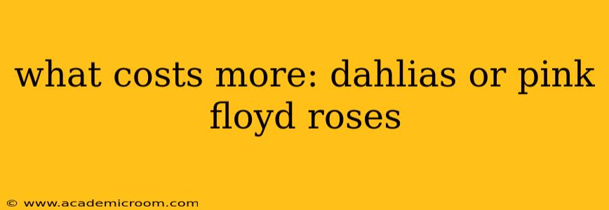 what costs more: dahlias or pink floyd roses