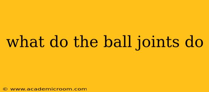 what do the ball joints do