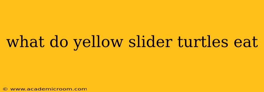 what do yellow slider turtles eat
