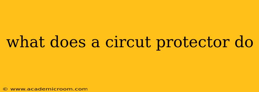 what does a circut protector do