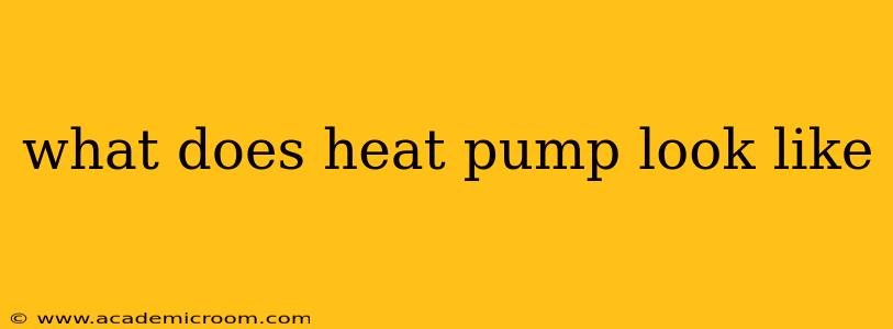what does heat pump look like