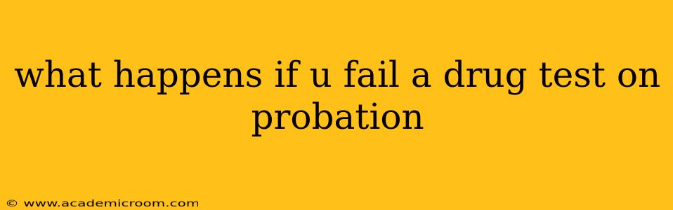 what happens if u fail a drug test on probation