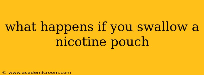 what happens if you swallow a nicotine pouch