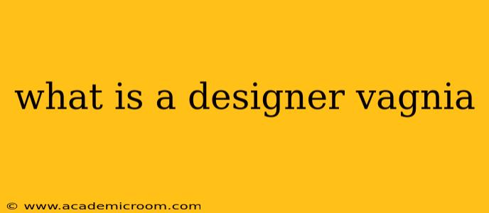 what is a designer vagnia what is a designer vagnia