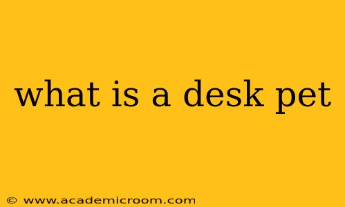 what is a desk pet