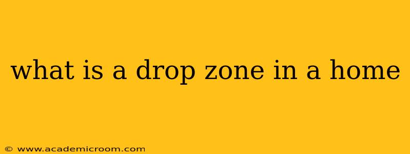 what is a drop zone in a home