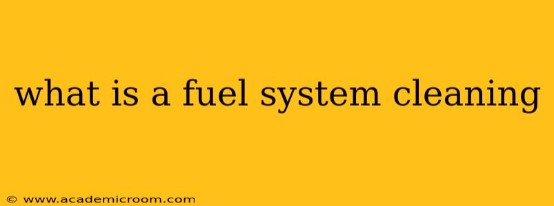 what is a fuel system cleaning