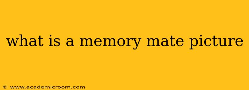 what is a memory mate picture