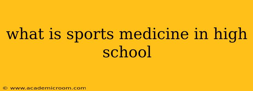 what is sports medicine in high school
