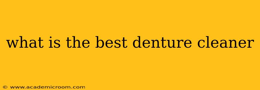 what is the best denture cleaner