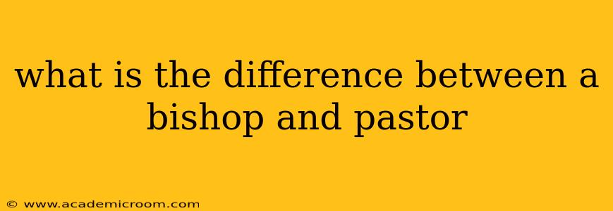 what is the difference between a bishop and pastor