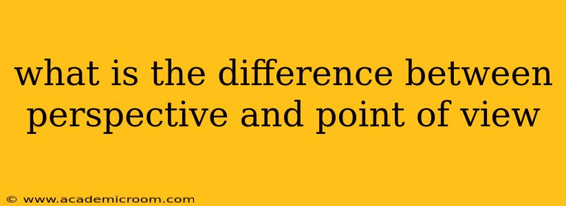 what is the difference between perspective and point of view