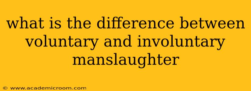 what is the difference between voluntary and involuntary manslaughter