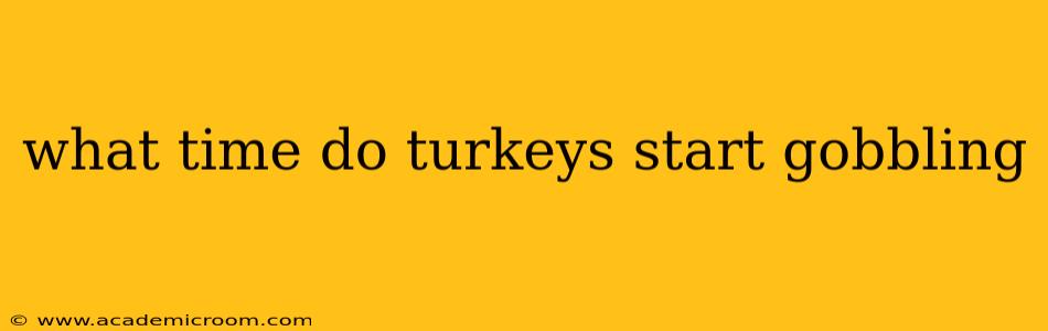 what time do turkeys start gobbling
