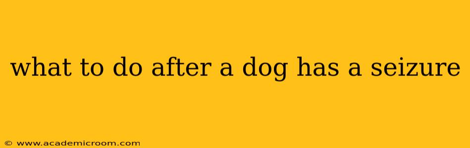 what to do after a dog has a seizure
