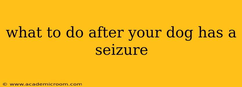 what to do after your dog has a seizure
