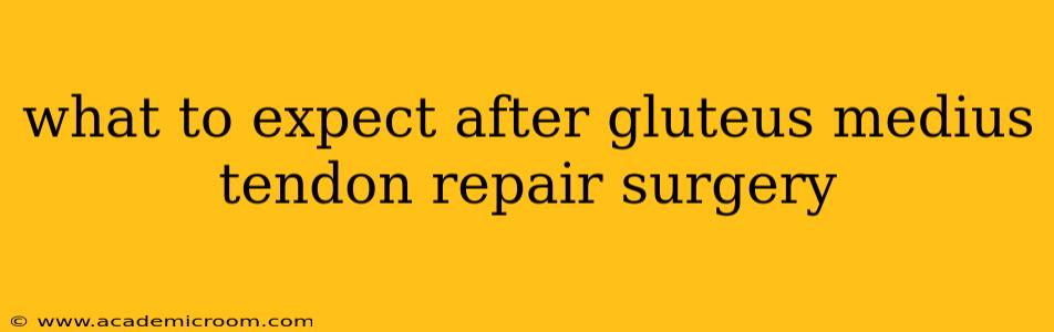 what to expect after gluteus medius tendon repair surgery
