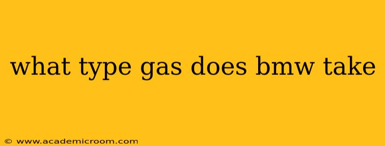 what type gas does bmw take