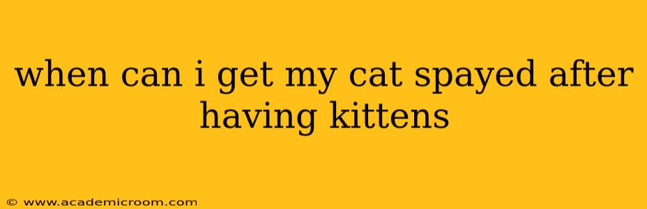 when can i get my cat spayed after having kittens