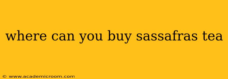 where can you buy sassafras tea