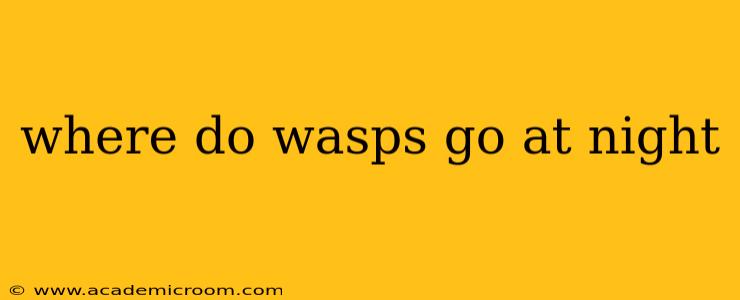 where do wasps go at night